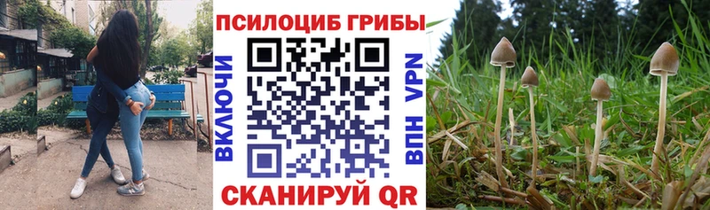 Галлюциногенные грибы мицелий  Бежецк 